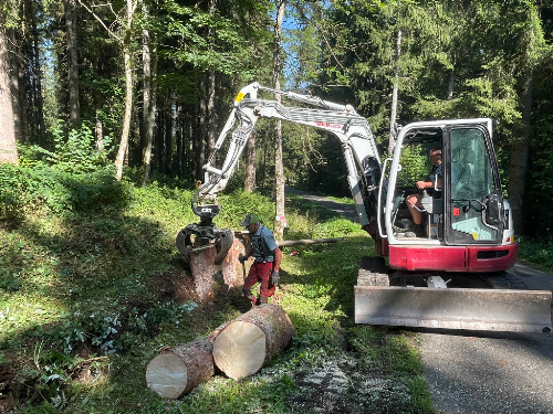 Landschaftspflegegruppe Weitnau repariert Baumstumpfpfad